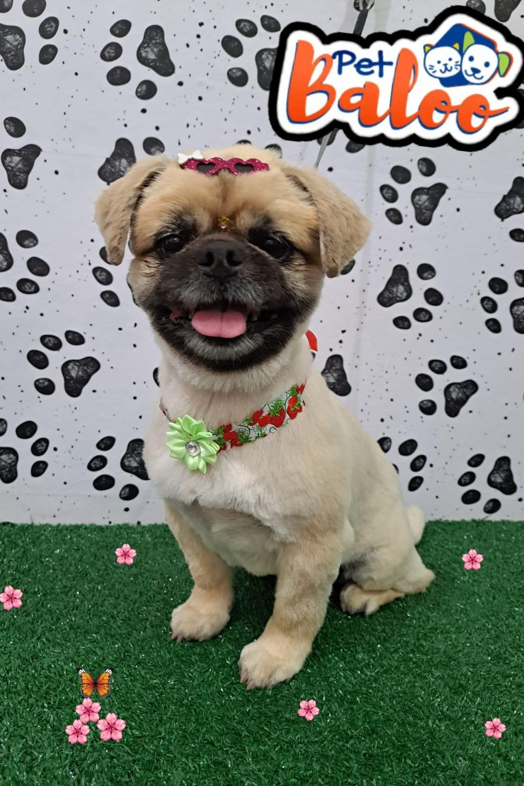 Foto de Sophy