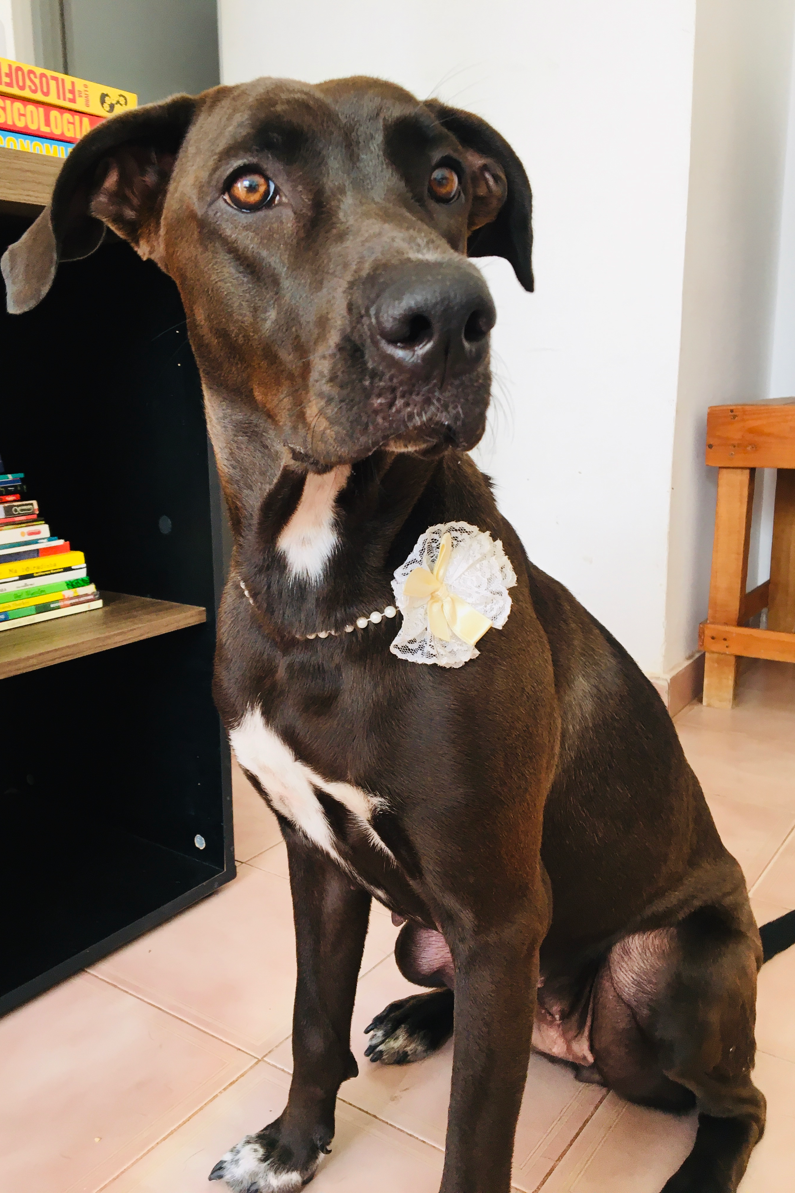 Foto de LUA