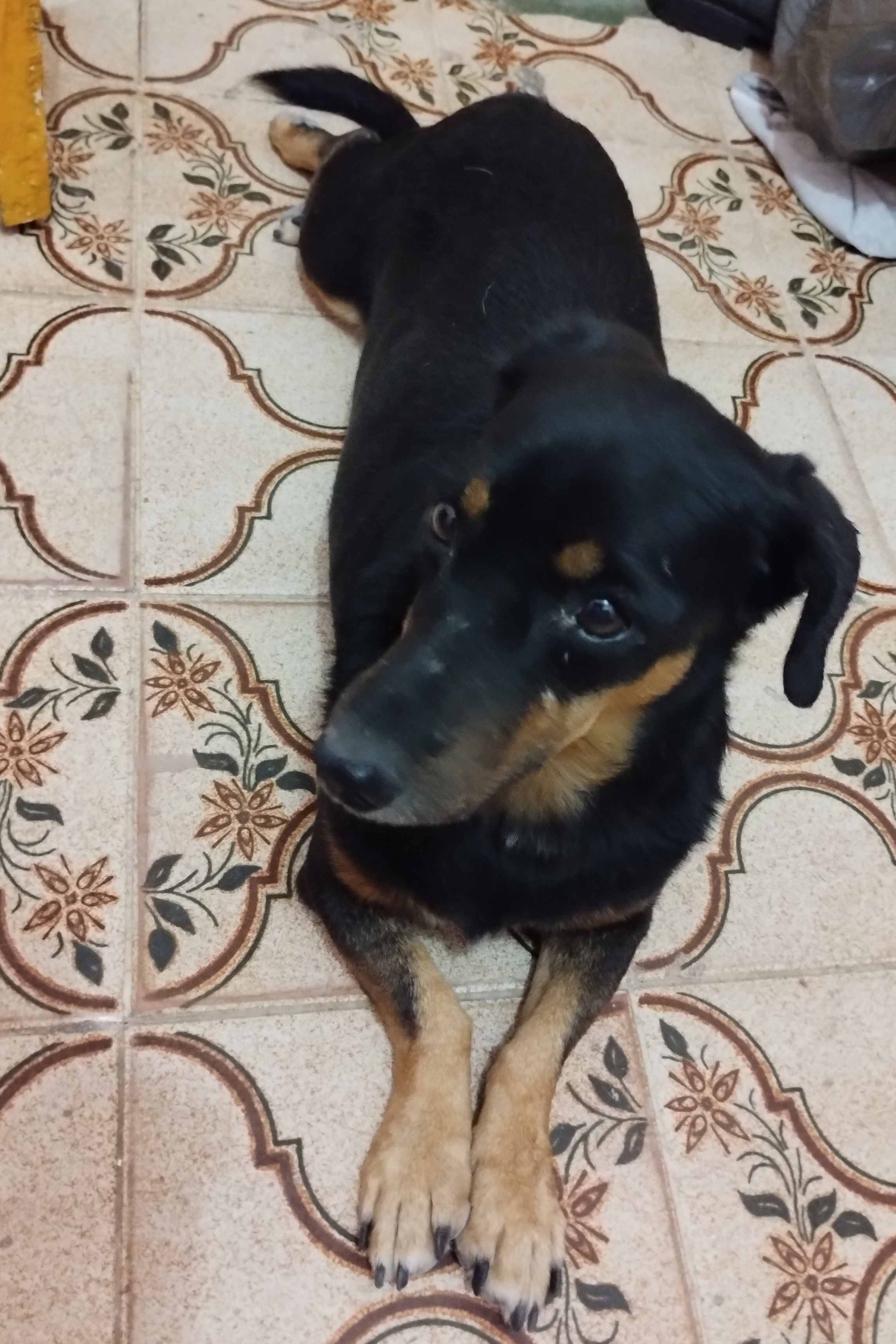 Foto de Betinha