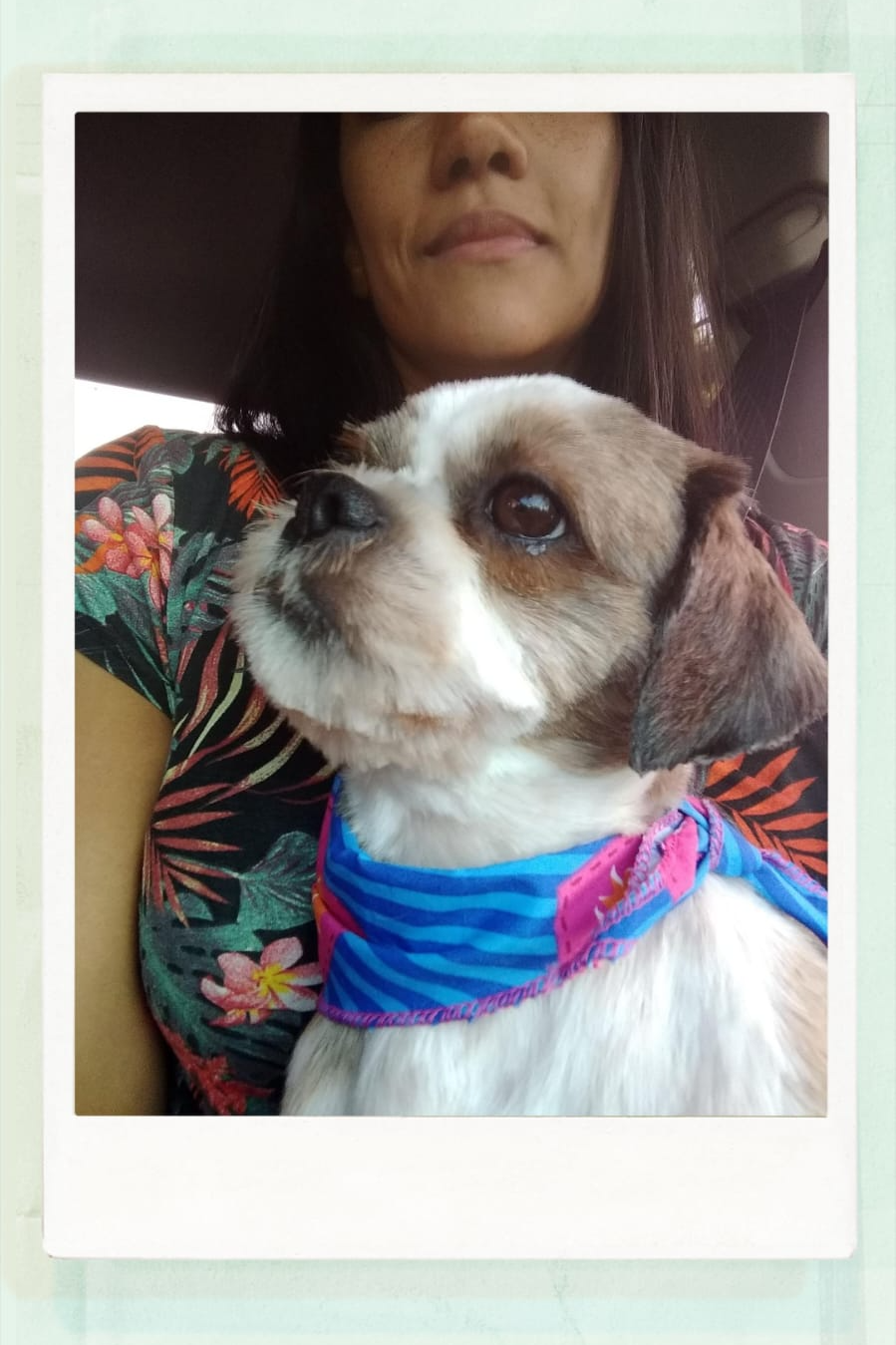 Foto de Bela