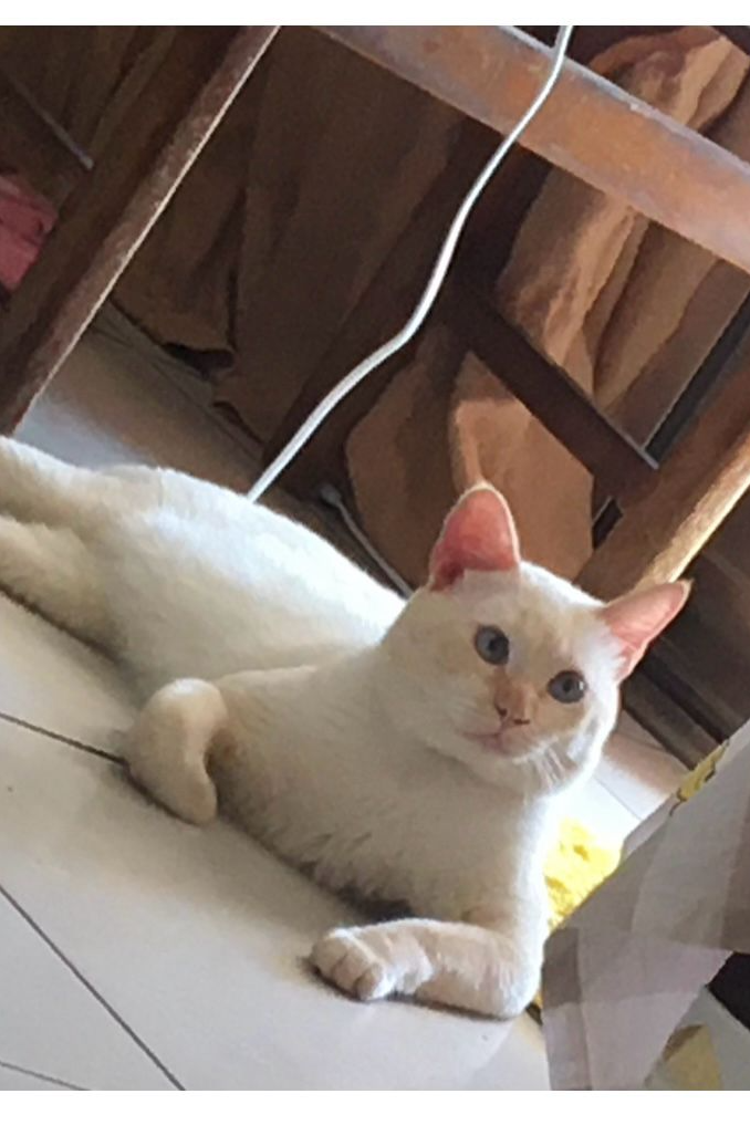 Foto de Vitorio