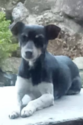 Foto de Sunny