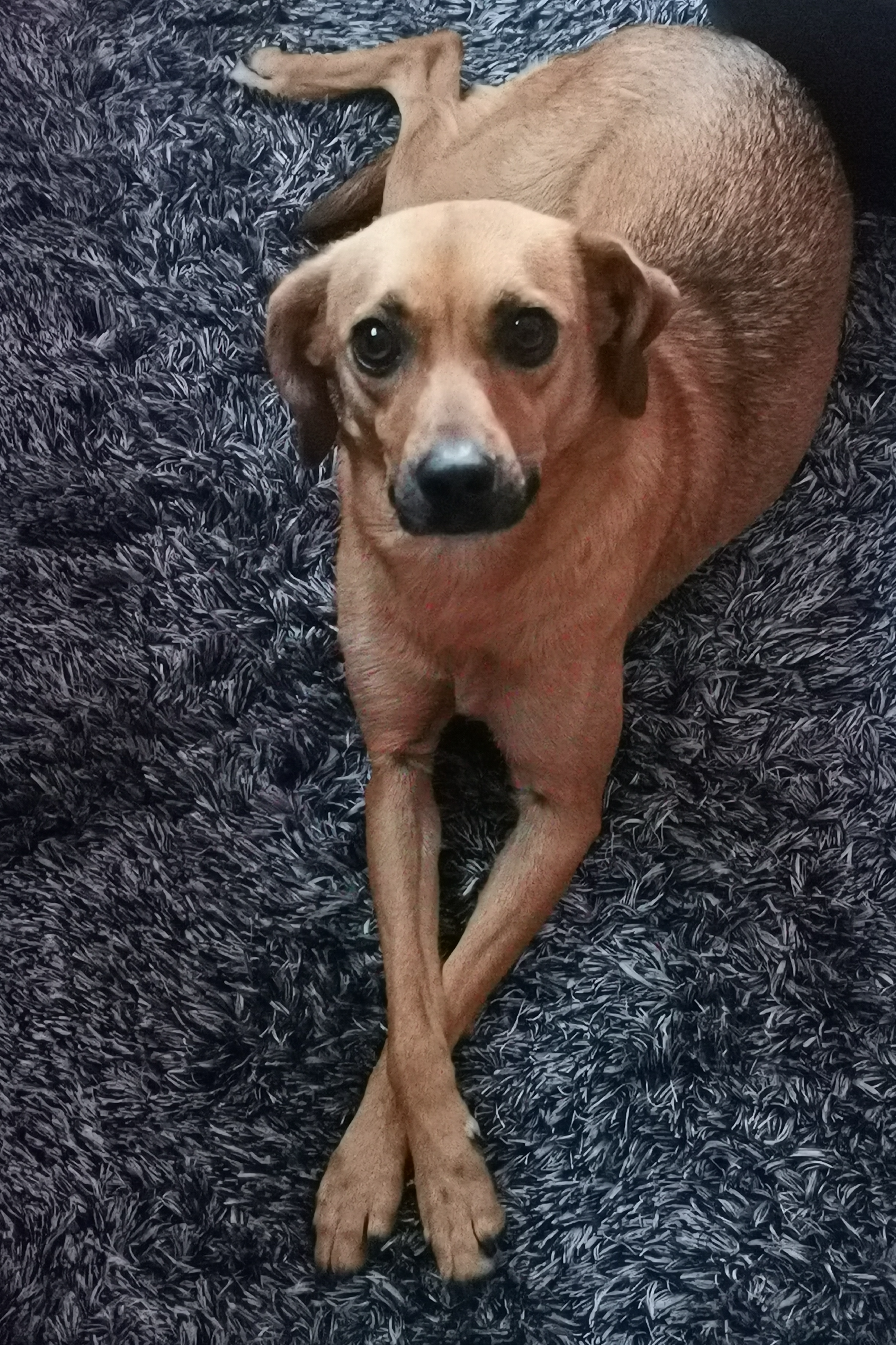 Foto de Laila