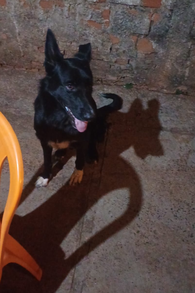Foto de Apolo