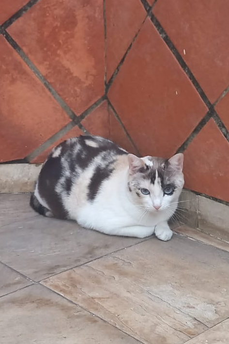 Foto de Ninon