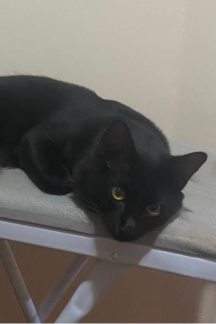 Foto de Sebastiao
