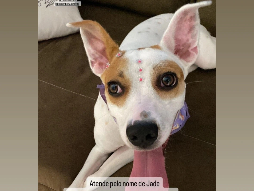 Foto de Jade