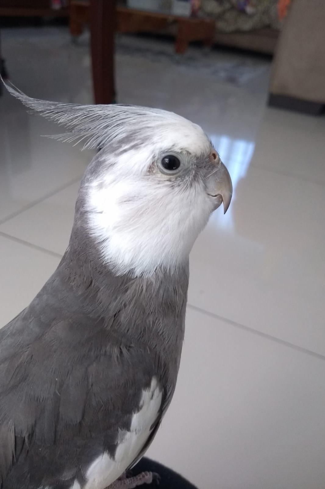 Foto de BABY