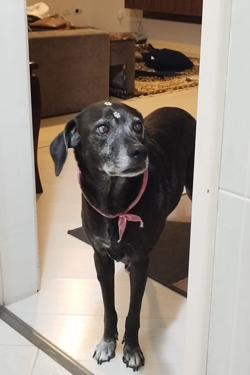 Foto de Maya