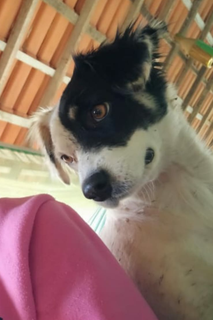 Foto de Xirek