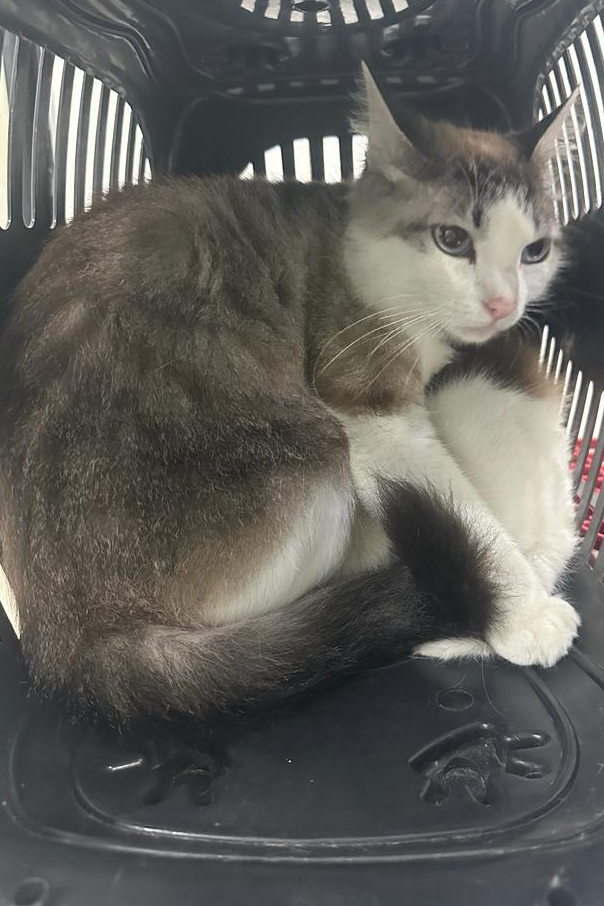 Foto de Lilith