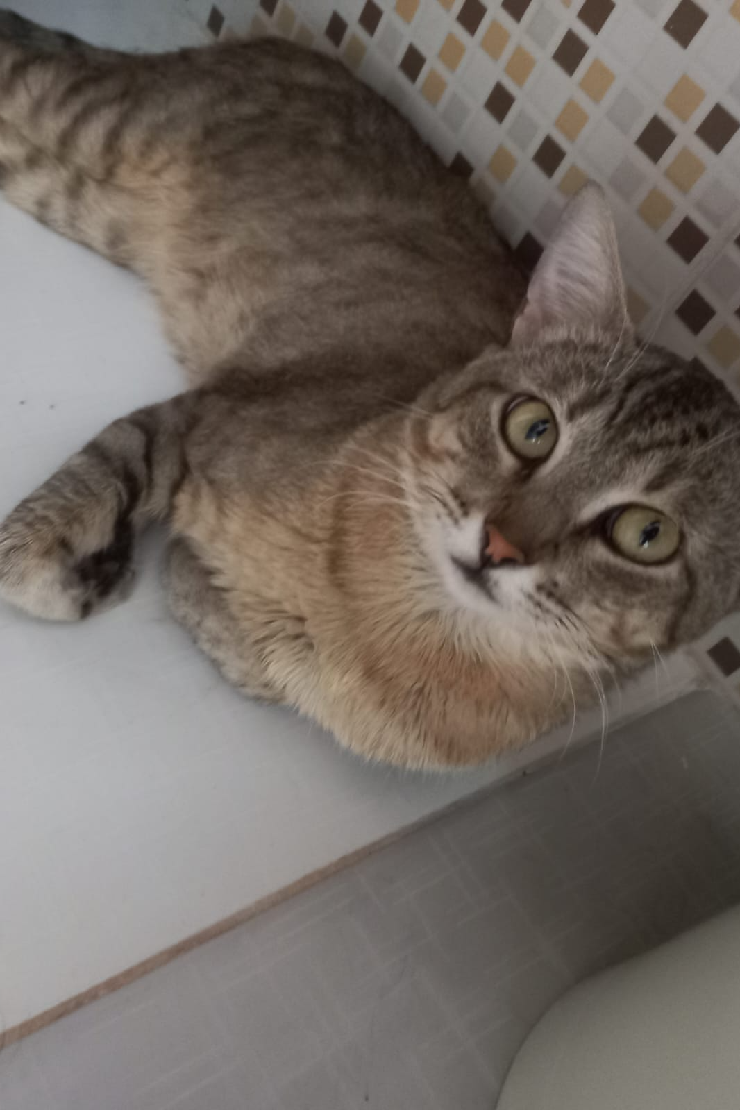Foto de Beba