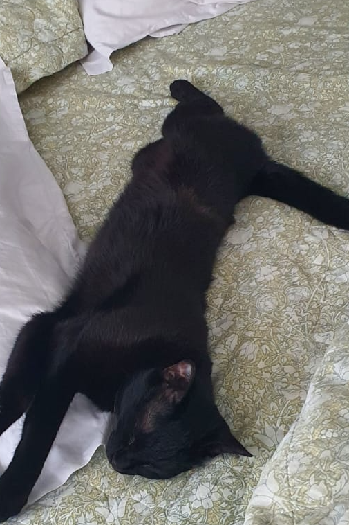 Foto de Margot
