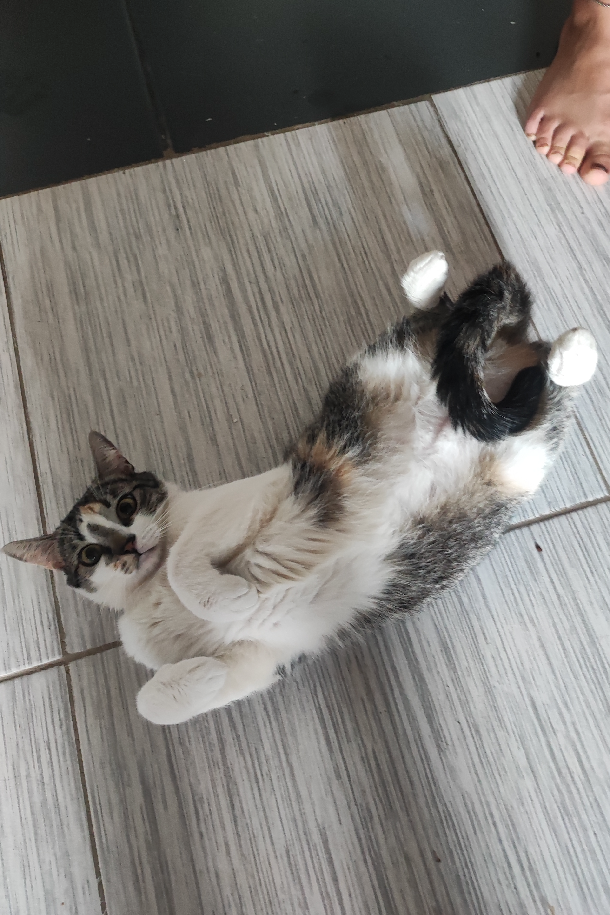 Foto de Luna