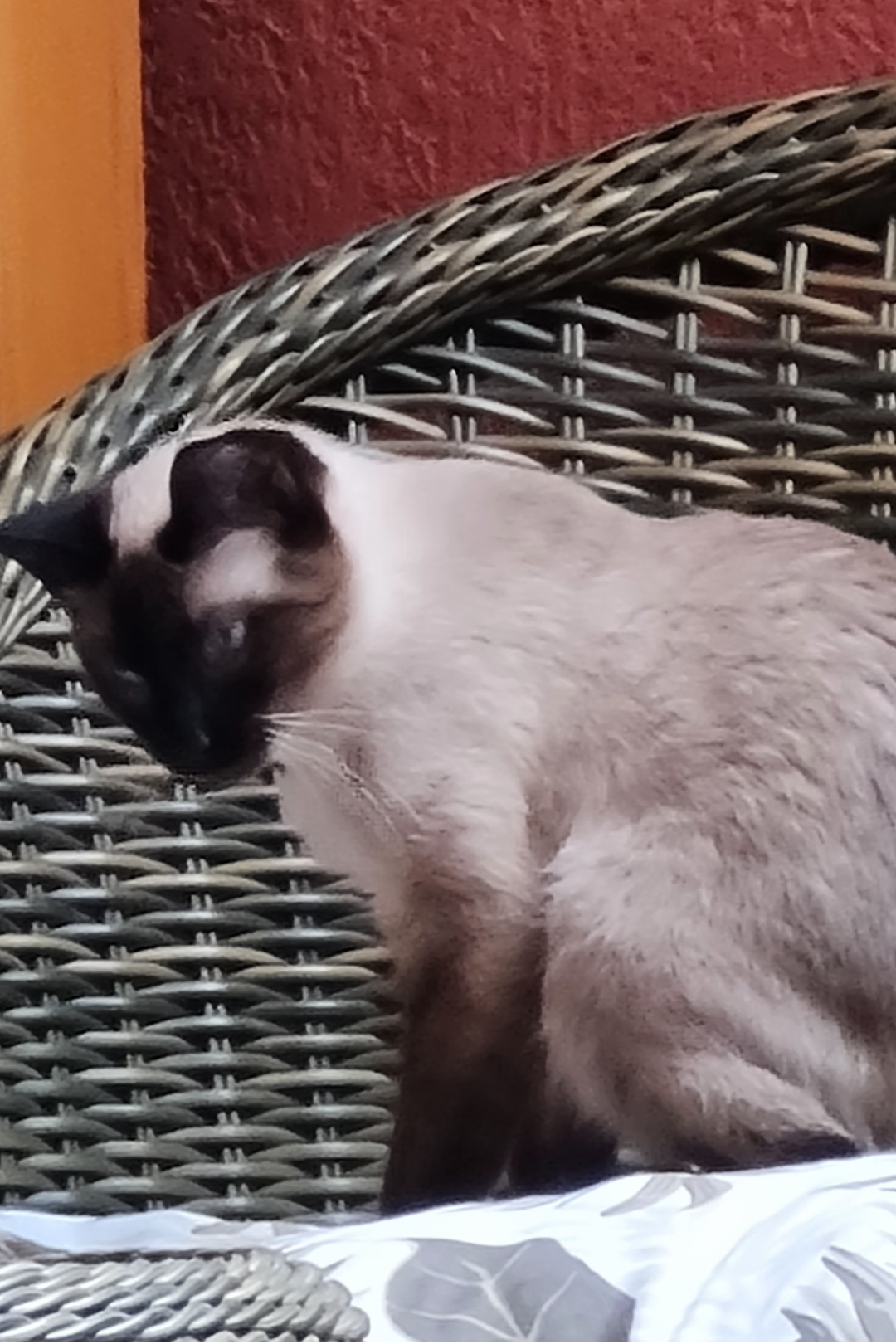 Foto de Hilda