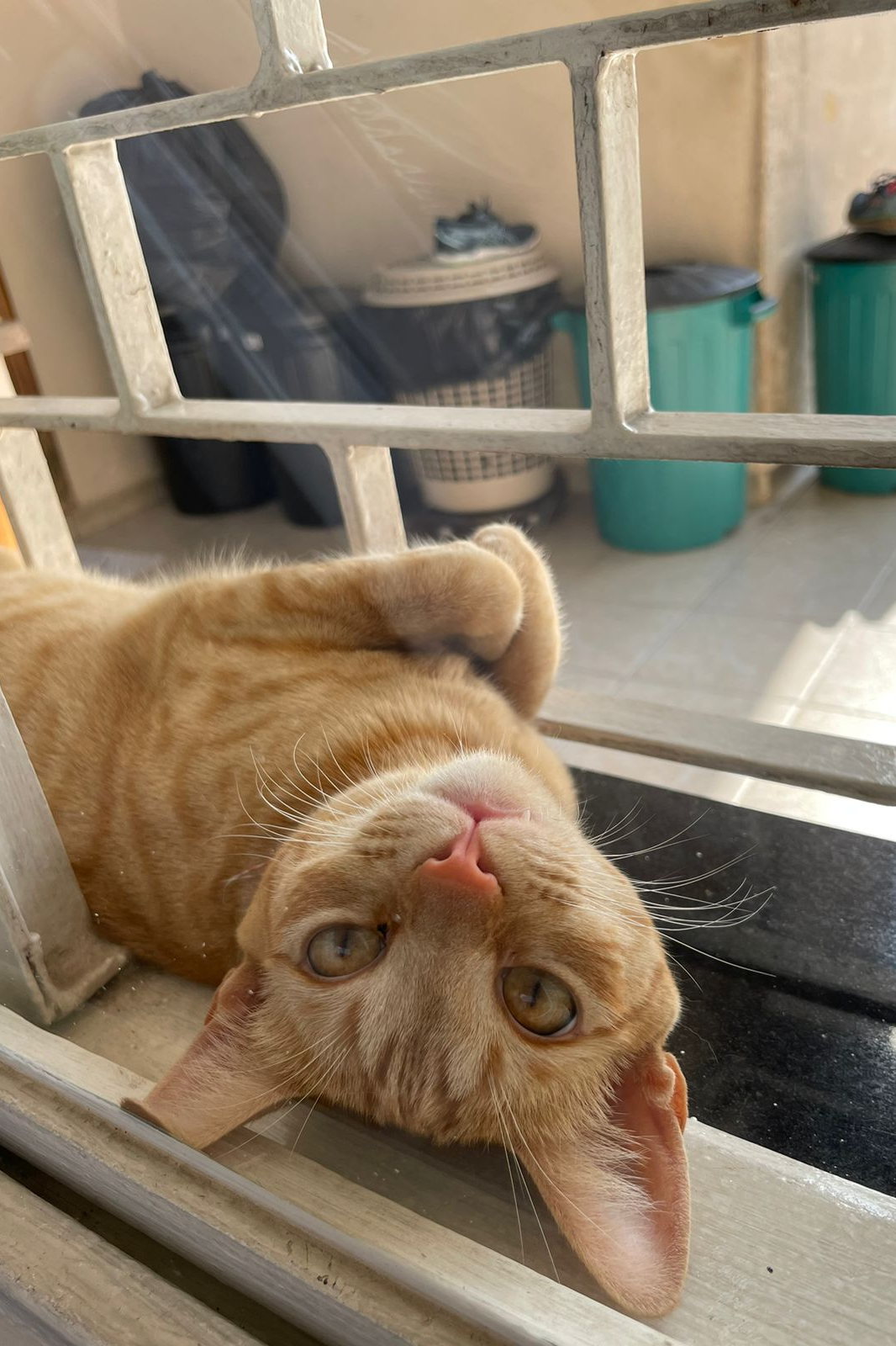 Foto de Brisa