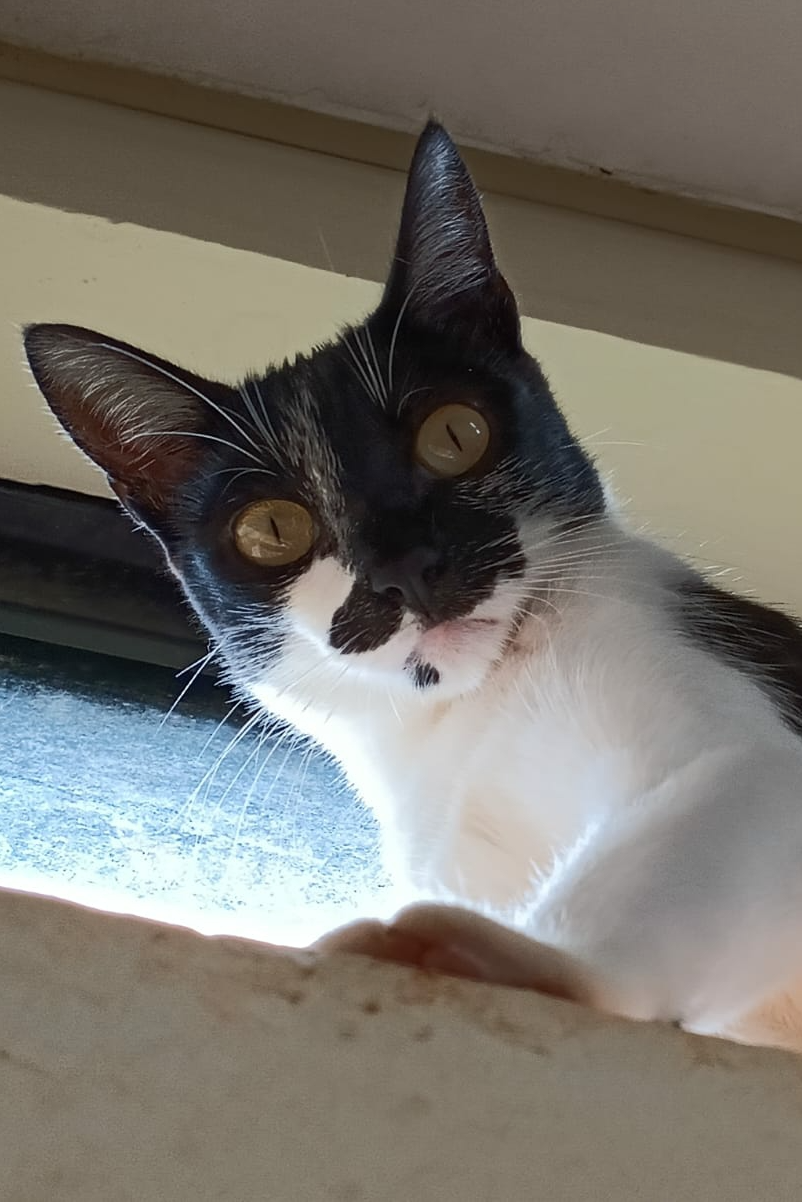 Foto de Malu