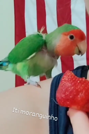 Foto de Maluco