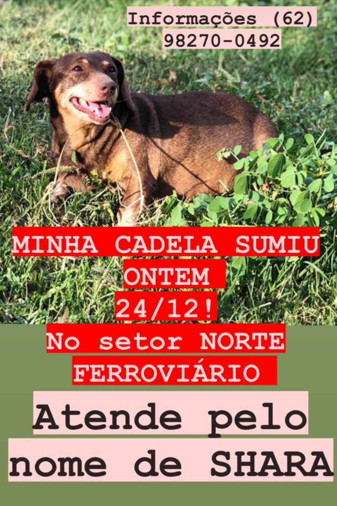Foto de Shara