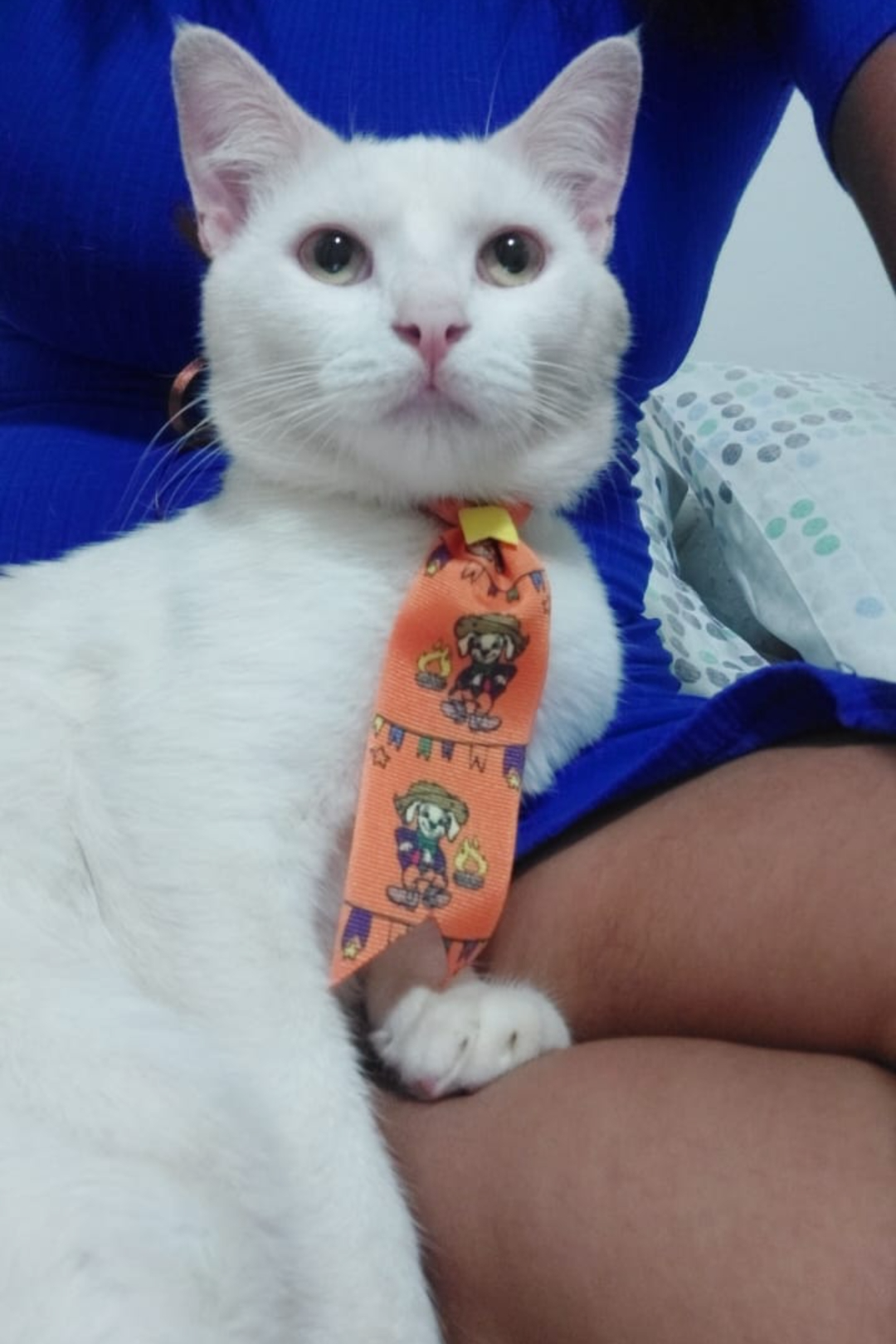 Foto de Luna e Jorge