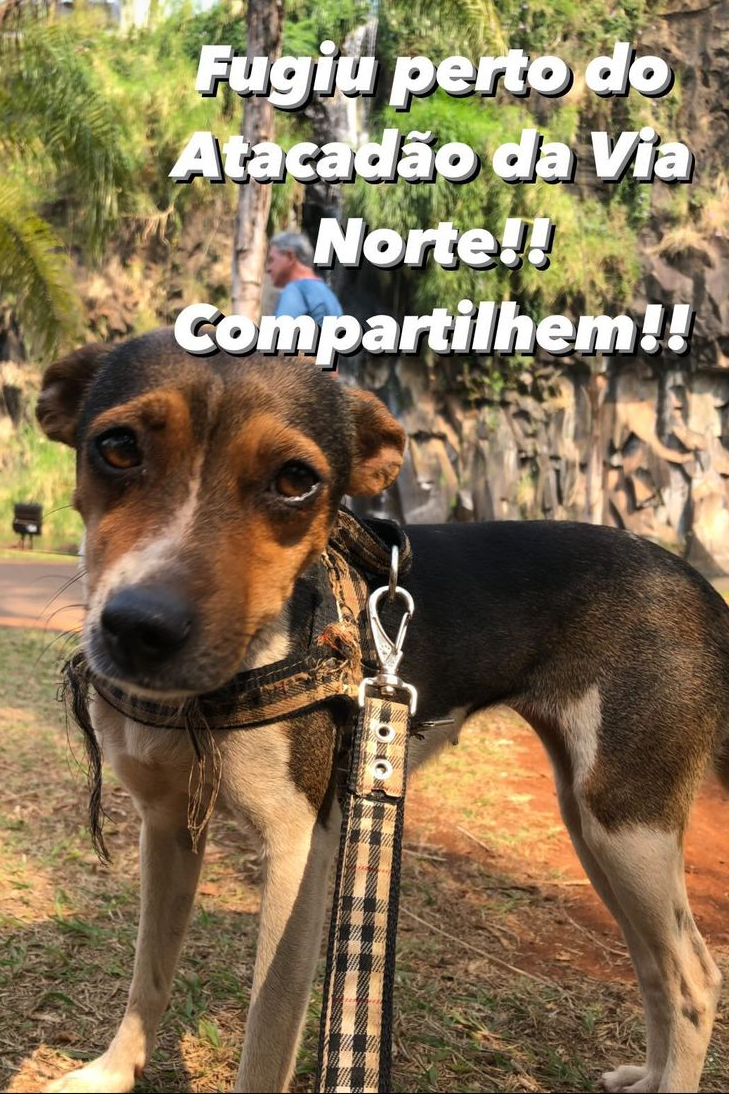 Foto de Xereta