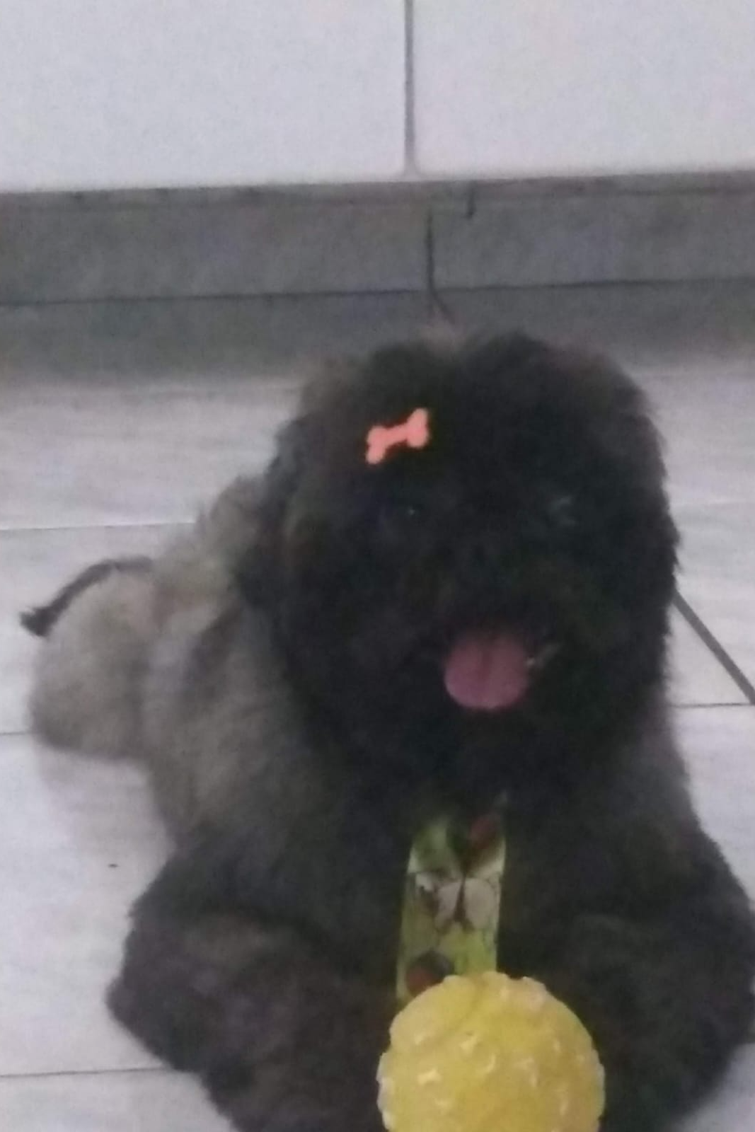 Foto de Fred