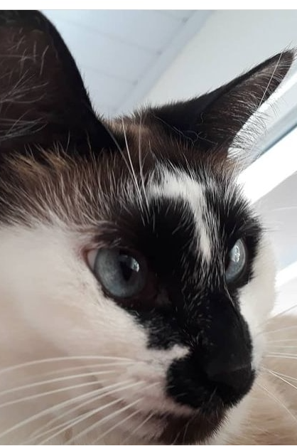 Foto de Carmelita