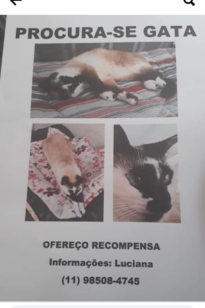 Foto de Carmelita