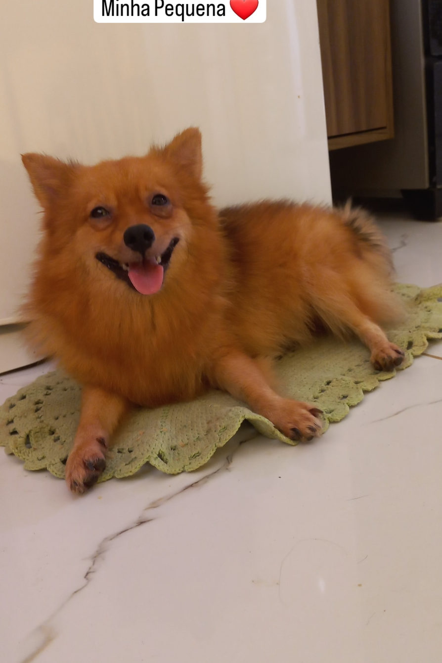 Foto de Pequena