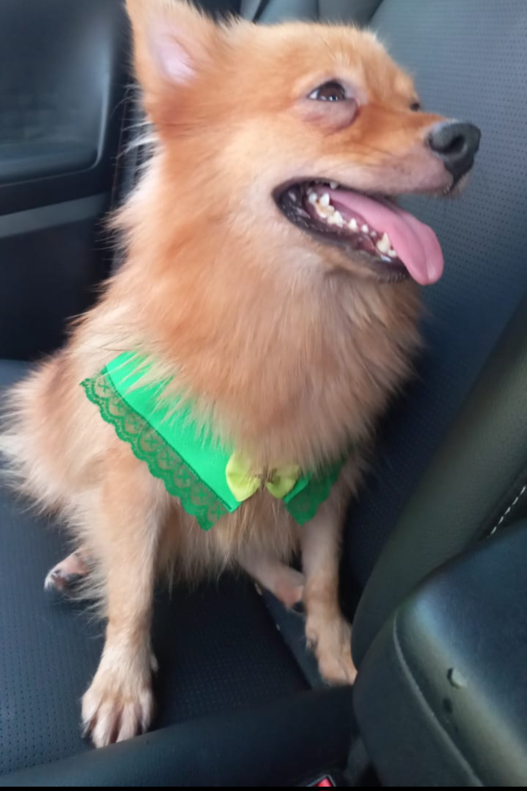Foto de Pequena
