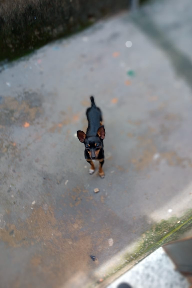 Foto de luna