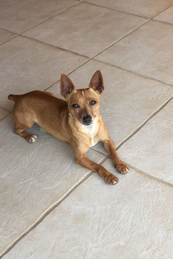 Foto de Maxi