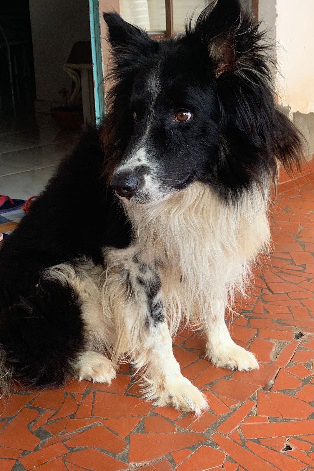 Foto de Guarani