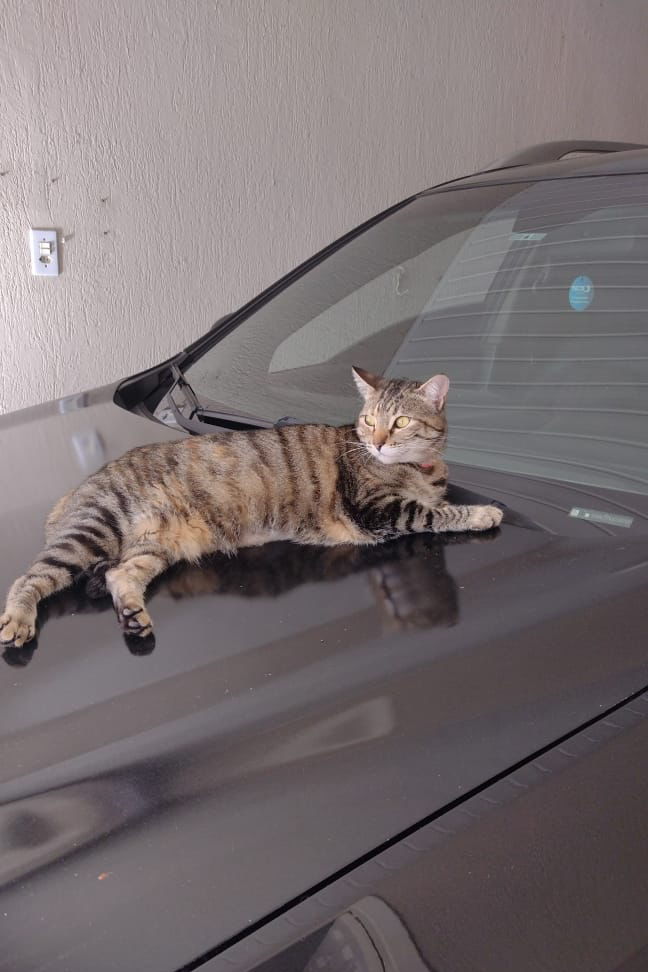 Foto de MiA