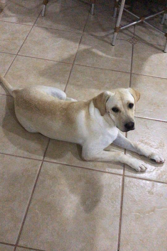 Foto de Izzy