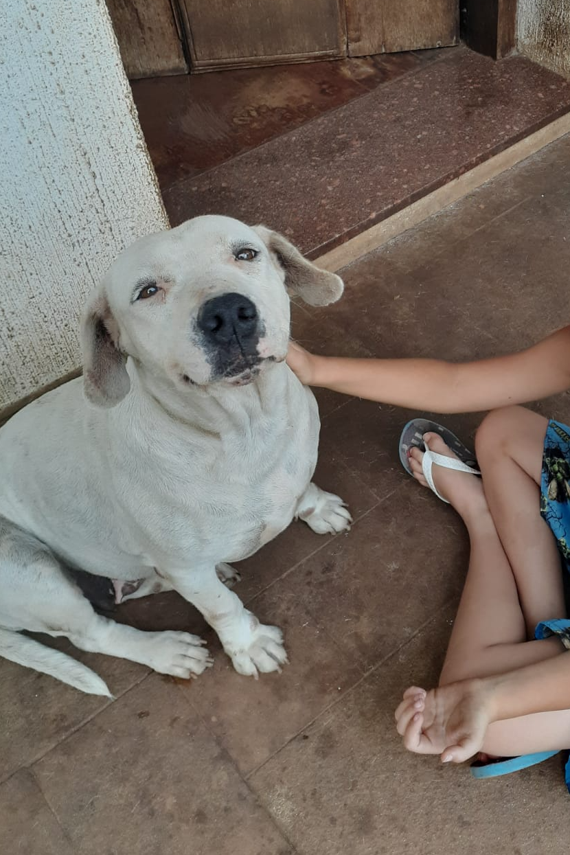Foto de Kiara