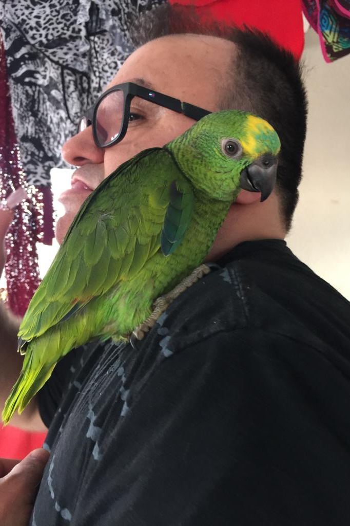Foto de Lourinho