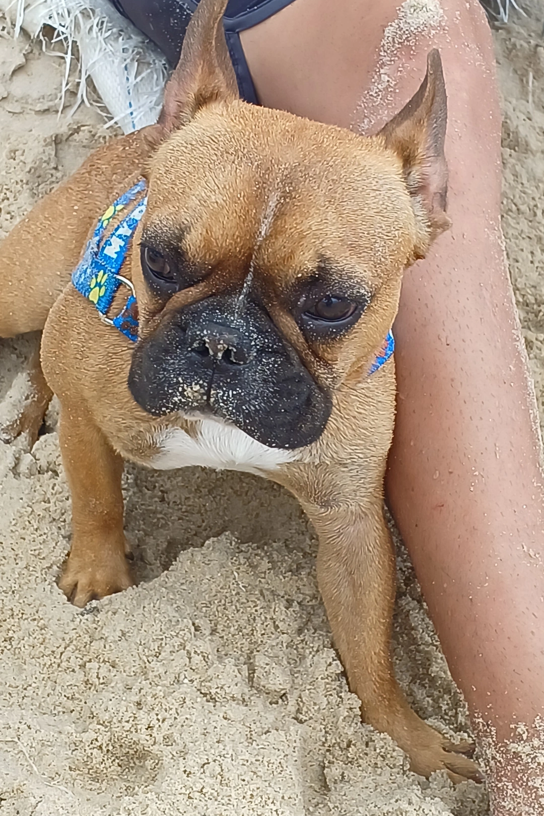 Foto de Thor