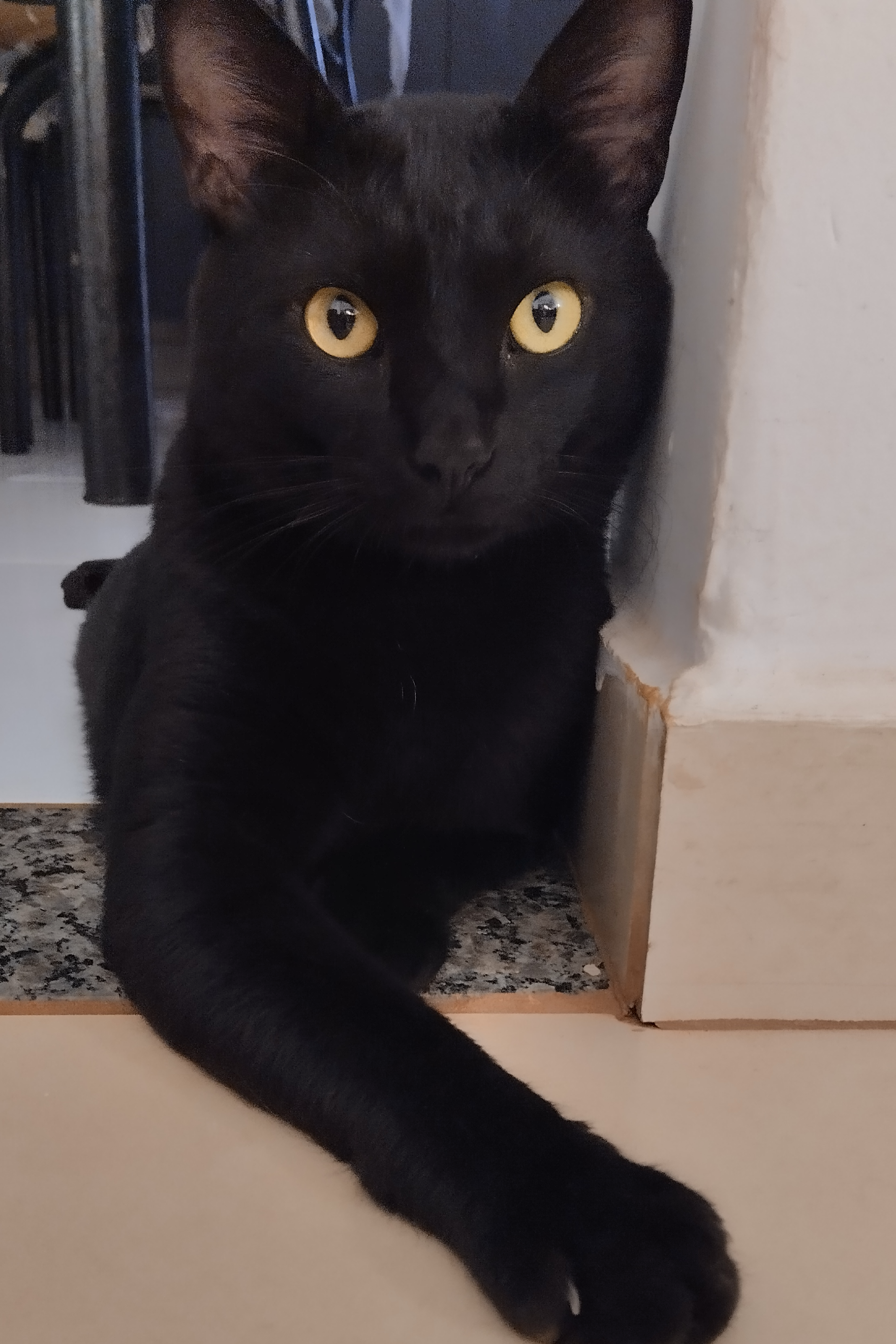 Foto de Diego