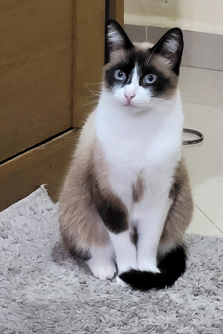 Foto de Nininha