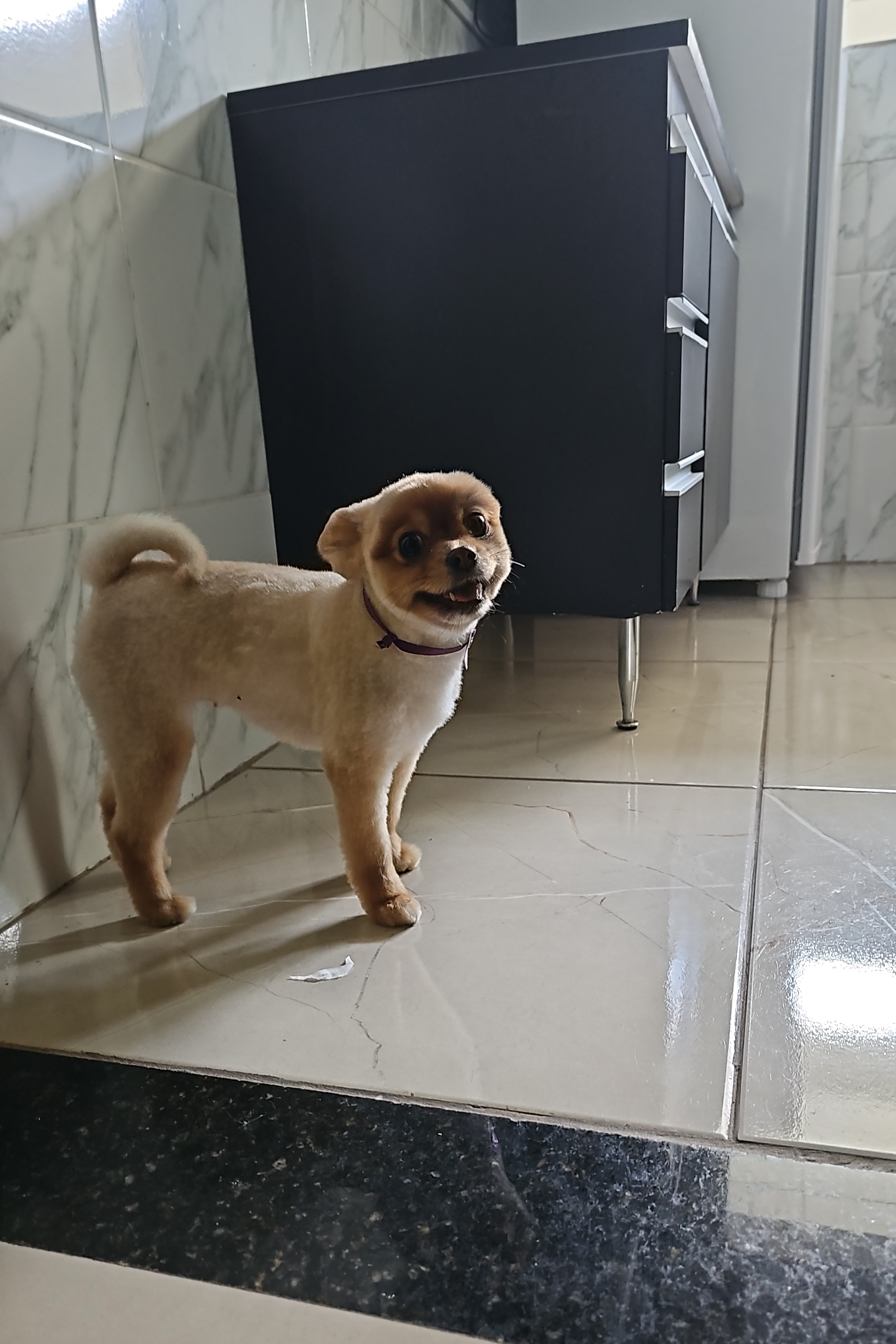 Foto de Lilica