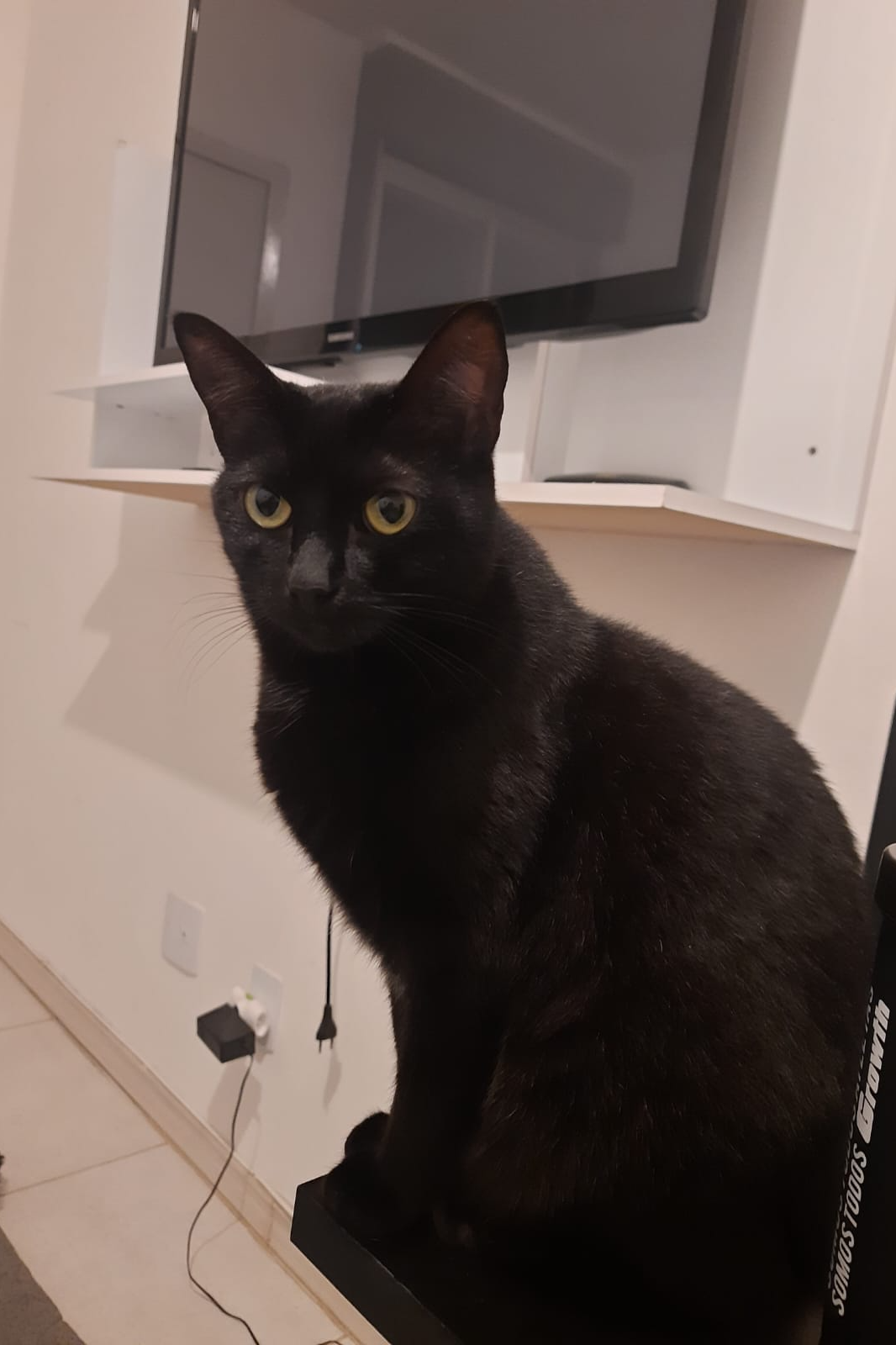 Foto de Moira
