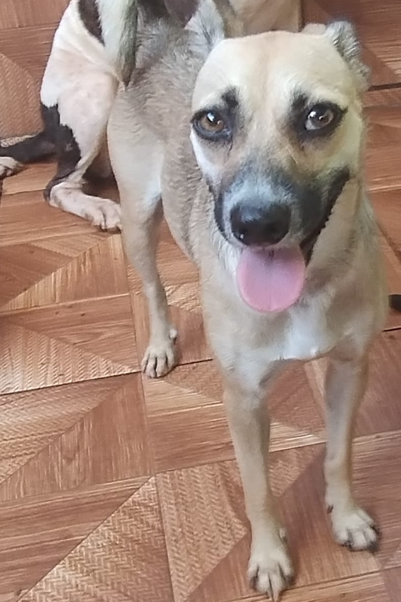 Foto de Laica