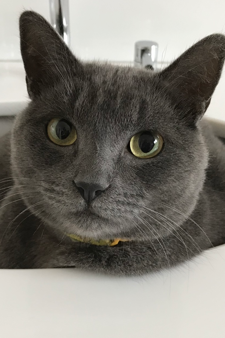 Foto de Pietro