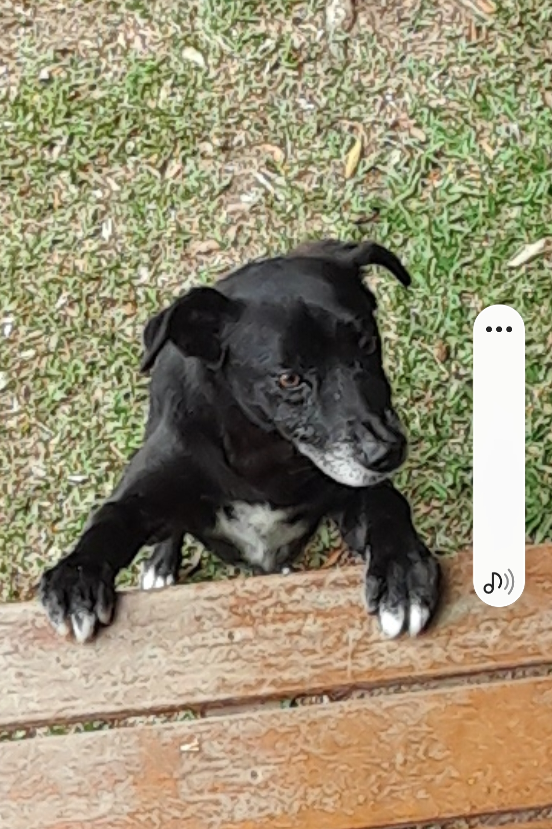 Foto de Neguinho