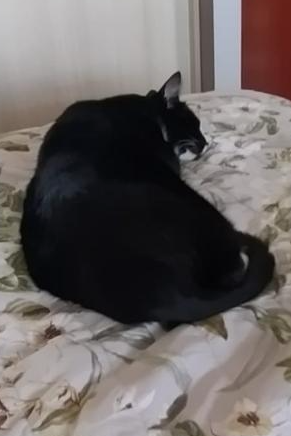 Foto de Leo