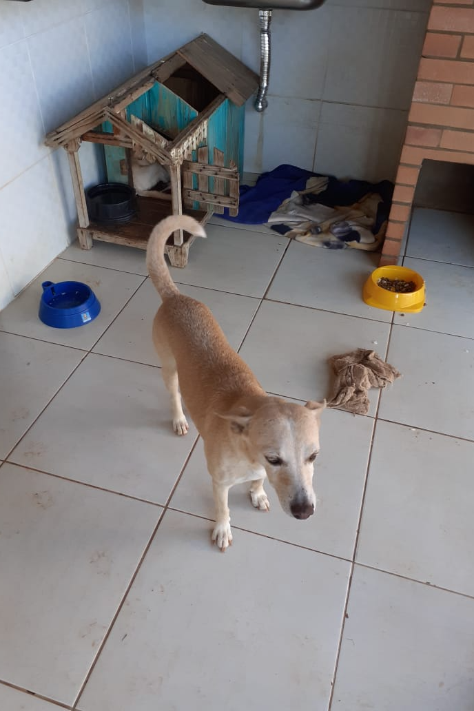 Foto de MAIA