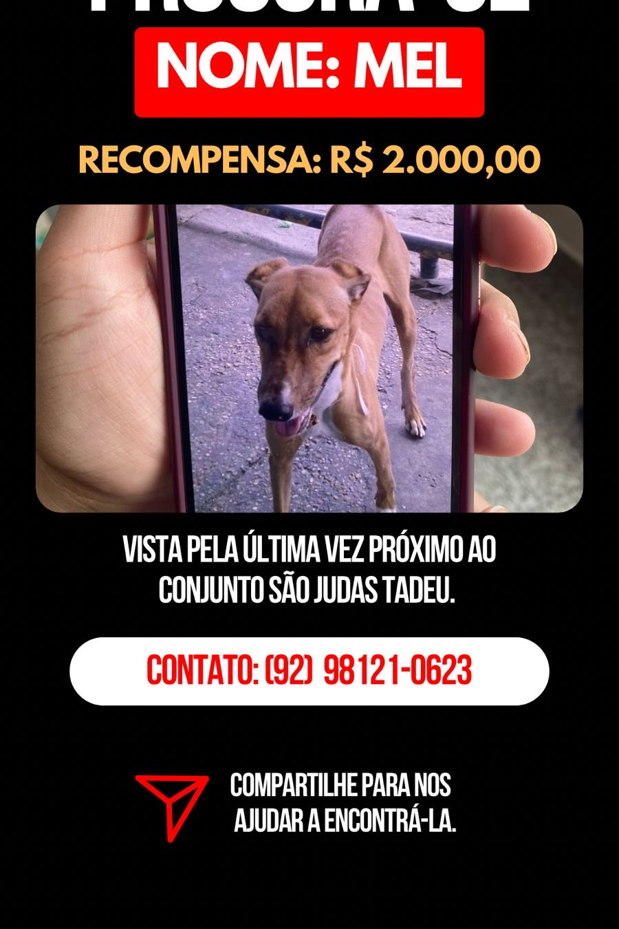 Foto de MEL