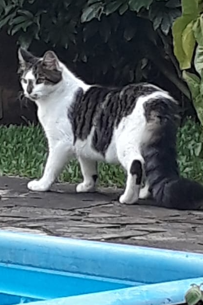 Foto de Bento