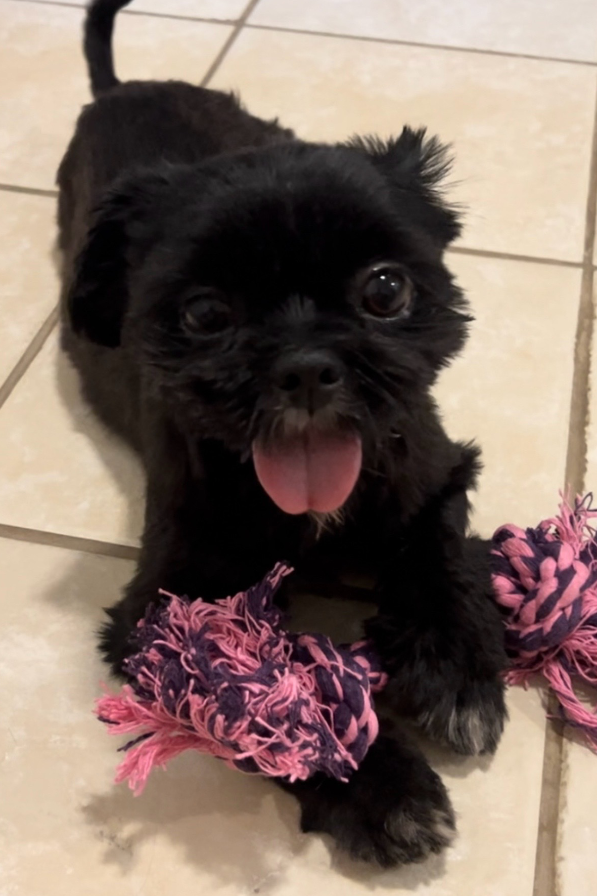 Foto de Bella